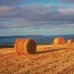 Farmers and Agricultural Trades